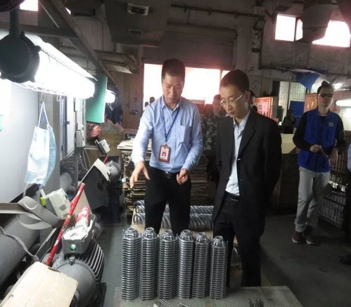 鳳崗鎮(zhèn)開展元旦節(jié)前安全檢查，監(jiān)控設備成關鍵環(huán)節(jié)